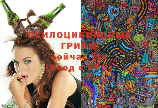 прущая мука Абаза